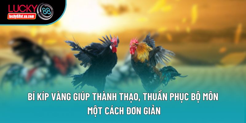 Bí kíp vàng giúp thành thạo, thuần phục bộ môn một cách đơn giản Bí kíp vàng giúp thành thạo, thuần phục bộ môn một cách đơn giản